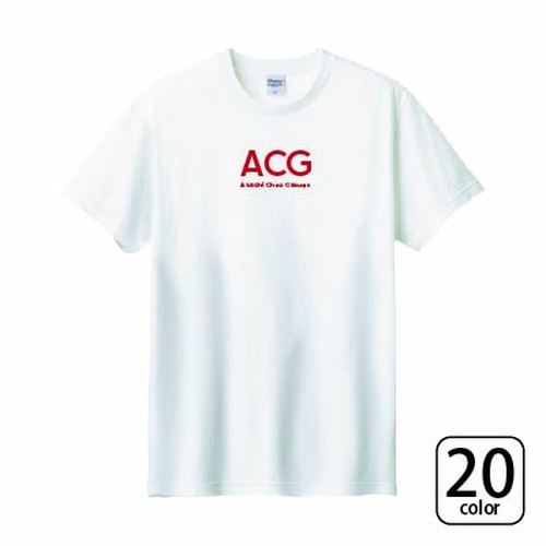 コットンヘビーウェイトTシャツ【085-CVT】